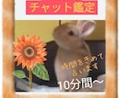 チャット★時間を決めて10分〜占います 声が出せなくても大丈夫  さくっと占います。モヤモヤ解消 イメージ2