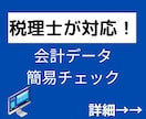 税理士が月次会計データを簡易チェックします 「自分で記帳したけど合っているか不安」という方へおすすめ イメージ1