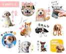 世界に一つ♪愛犬・愛猫のLINEスタンプ作ります 【申請代行OK】お気に入り写真を送るだけ♪作風・セリフ応相談 イメージ2