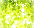 誰にも言えない心のSOS　私が優しく受けとめます ひとりで抱えず話してみませんか？こころ休まる優しいひととき❀ イメージ6