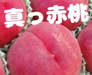野菜　果物中心売れる文章作成します 50代おはちゃん農家さん向け 売れるメルカリ文章お作りします イメージ9