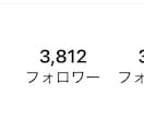 インスタ総フォロワー3万人の私がお困りを解決します フォロワーを増やしたい、ファン化させたい、アドバイスなど イメージ6