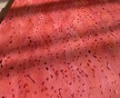 エネルギーを感じで描いた抽象画を販売します 日常にホッとするアートを。あなたに寄り添う絵を描いています。 イメージ3
