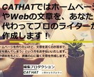 資料などをもとに、Web用原稿を作成します 商品やサービスを紹介する「オリジナル原稿」をプロが作ります！ イメージ1