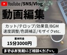 YouTubeやSNS等の動画を編集します 真摯に対応します。まずは、お気軽にご相談ください。 イメージ1