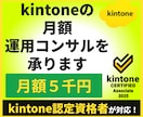 kintoneの月額運用コンサルを承ります 運用・改善・技術相談を継続的にサポートします イメージ1