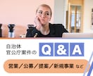 通話／自治体への営業・提案のしかたを相談できます 60分Q&Aセッション　元行政担当者が疑問に答えます イメージ1