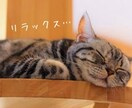 公認心理師 兼 臨床心理士がお話お聴きします ただ誰かに話したい、気軽に聞いて欲しい、そんな時も遠慮なく イメージ3