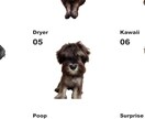 愛犬・猫のオリジナルTシャツをつくります 世界に一つだけのうちの子Tシャツ♪ イメージ4