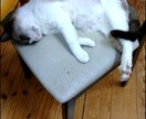 小学生から大人まで愚痴や悩みを聞きます あなたの悩みを聞きたい吐き出してください本性をみせてください イメージ1
