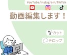 SNS用の動画編集を行います 猫の手も借りたい！あと一手間をお手伝いさせてください！ イメージ1