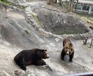 北海道旅行の相談に乗ります 北海道が大好き過ぎて移住した経験を活かして相談に乗ります。 イメージ8