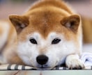 秘密厳守☆一日中トークルームで話し相手致します 寂しくて誰かとメールがしたい方や暇な方お話しませんか？ イメージ7