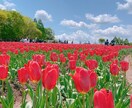 元教師が学校や子どものお話聞きます もちろん先生からのお悩みも受け付けます！ イメージ1