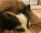 愚痴でもなんでも聞きます ☆1分だけでもお気軽にお電話ください☆ イメージ2