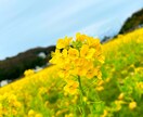 嫌な上司、腹立つ同僚への愚痴聞きます 心の重りを少しでも軽くするお手伝いをさせてください イメージ3