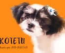 ペットをイラストに致します ペットの写真が水彩画風の似顔絵に♡ イメージ4