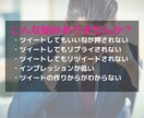 破格！100RT、100いいね保証の拡散します １万フォロワー越えインフルエンサーがツイートを拡散 イメージ3