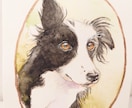 わんちゃん（ペット・犬）を水彩・色鉛筆で描きます ペットのお写真、可愛らしく原画(イラスト)製作します❀ イメージ2