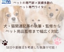 ペット専門家が犬・猫関連記事の執筆や監修を行います Google検索上位表示を多数経験するペットライターが執筆 イメージ1