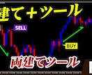 FXの両建て錬金術手法を教えます 両建てトレードが最強かもしれない件 イメージ3