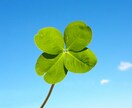 新しい恋に進むべき？等YES/NOで即日鑑定します １人で悩まないで☆回答+簡単な理由+アドバイス！即日鑑定♡ イメージ9