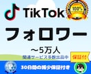 TikTokフォロワー10000人増加させます コスパ最強！ティックトックのフォロワー10000人宣伝！ イメージ1