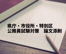 公務員試験の論文の添削をします （国家、県庁、特別区の採用試験合格実績あり） イメージ1