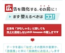月額顧問）Amazon広告×商品ページを分析します 「やること」より、「やらないこと」を決めます イメージ4