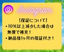 インスタフォロアー増やします 日本人アクティブフォロワーを最短２～３日で１００人増やします イメージ6