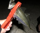 ルアー釣りの「いろは」お伝えします 【最長15日】実体験を基にお答えします！ イメージ4