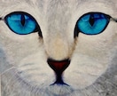 動物の肖像画を画家兼デザイナーがお描きします 手描きならではの温かみを大切にしています イメージ1