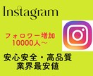 インスタグラム フォロワー10000人増加させます コスパ◎！安く高品質なフォロワーをあなたにご提供し イメージ2