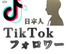 TikTok日本人フォロワー20名増やします 個人/企業向け◉安心安全マーケティングで人気者に◉ イメージ1