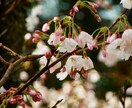 お話相手が欲しいとき、お電話ください。〜悩み事から面白い話まで〜 イメージ1