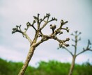Google口コミ獲得まで完全サポートいたします 【保証】グーグルの口コミを最低1件獲得するまで完全サポート！ イメージ8