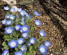 看護師を目指してる方のお手伝いをします 現役看護師として、記録の手伝いや相談なんでも承ります。 イメージ1