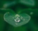 二人の未来♡相性を占います 運命の流れ＆あの人との今後を占ってみませんか？ イメージ6