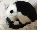 うつ経験のある看護師兼カウンセラーがお話伺います もやもやした気持ちそのままでOK！話すだけで楽になります イメージ10
