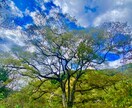 トートタロットでお悩み占います 迷っていることをタロットに聞いてみませんか イメージ4