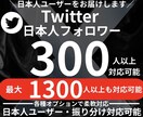 Twitter 日本人フォロワー300人増加します X・(旧Twitter) 日本人のフォロワーを増やします イメージ1