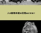 世界中で話題のアニマルフローを教えます 動ける身体、引き締まった身体を作るならアニマルフロー！！ イメージ4