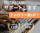 インスタの日本人フォロワーを500人～増やします 赤字価格！先着10名限定キャンペーン開催中 イメージ10