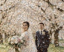 他とはかぶらない演出！モザイクアート動画作成します 【ラスト40秒に注目】結婚、余興、卒業、送別、お祝いに最適！ イメージ19
