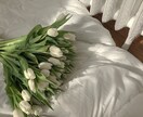 愚痴や日々のストレス、世間話など何でもお聞きします あなたの癒しになります໒꒱.ᐟ.ᐟ イメージ1