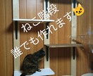 猫の階段DAYで簡単にだれでも作れます ホームセンターだけで材料揃えて簡単に作製！ イメージ1