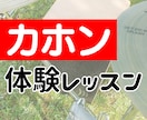カホンの体験レッスンができます レッスン興味あるけど、顔合わせしてみたい方はコチラ！ イメージ1