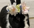 ペットちゃん♡の花かんむり作ります バースデーや記念日、お花見での写真撮影に、兎、猫、犬、小動物 イメージ2