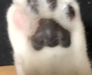 心の悩み相談、お話聞きます そうなる前に、まず相談してください。 イメージ1