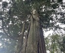 現場と経営の板挟み、現役部長が本音で受け止めます 否定なし・愚痴OK・整理だけでも大丈夫です イメージ1